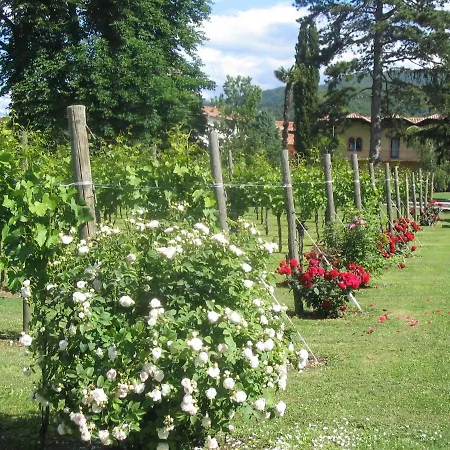 Lantgård Volpe Pasini - Wine And *