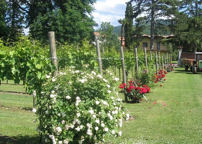 Farmház Volpe Pasini - Wine And *